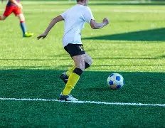 中国运动员,海外竞技大,放异彩,ManBetX,万博,万博体育入口,万博官网,万博体育APP下载