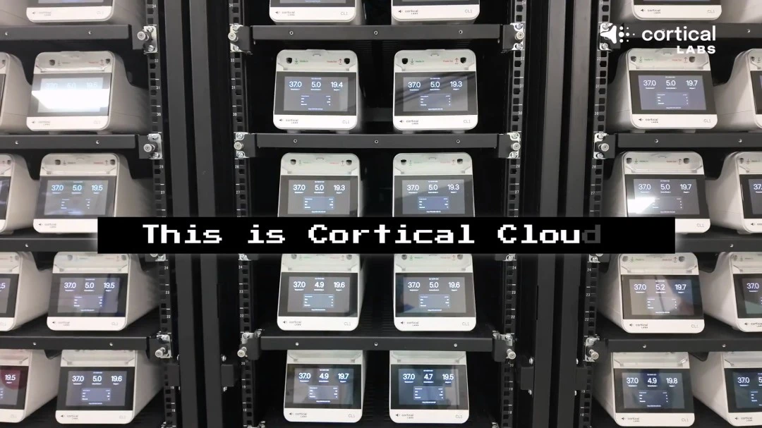 米兰市长公,审阅双雄案,卷后,ManBetX,万博,万博体育入口,万博官网,万博体育APP下载