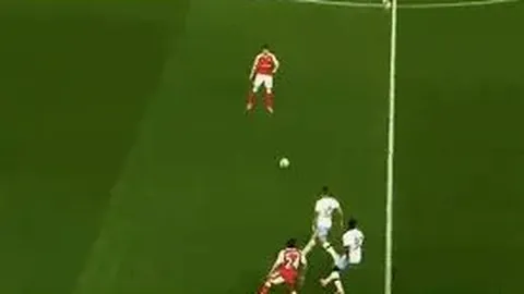 视频曝光：假扮癫痫实施盗窃，美宠物店遭遇盗贼团伙作案