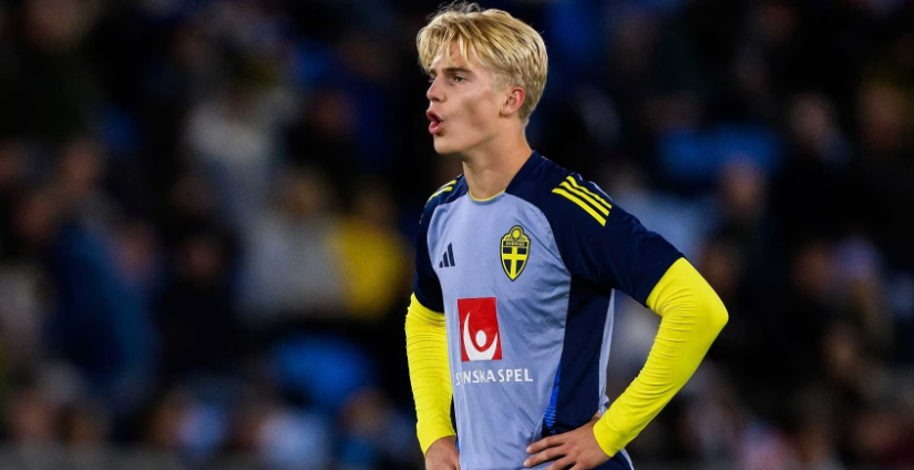 我们或许又 我们或许又